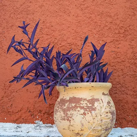 Vliho Bay Boutique 3* Yénion